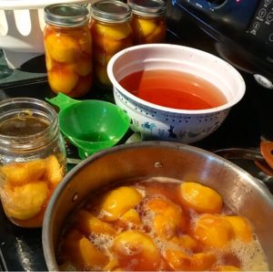 Canning Peaches - Hot Pack Method