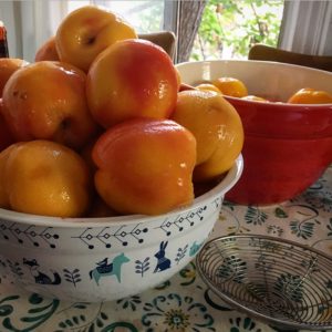 Canning Peaches - Hot Pack Method