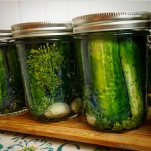 Dill Pickles