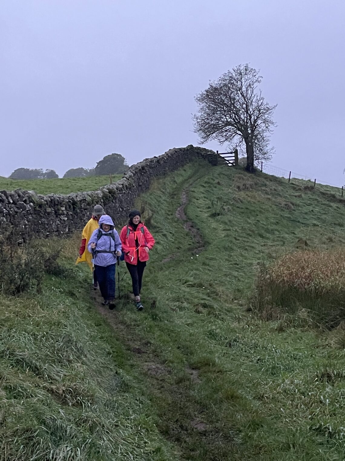 Hadrian's Wall Day 2 – Carlisle to Banks
