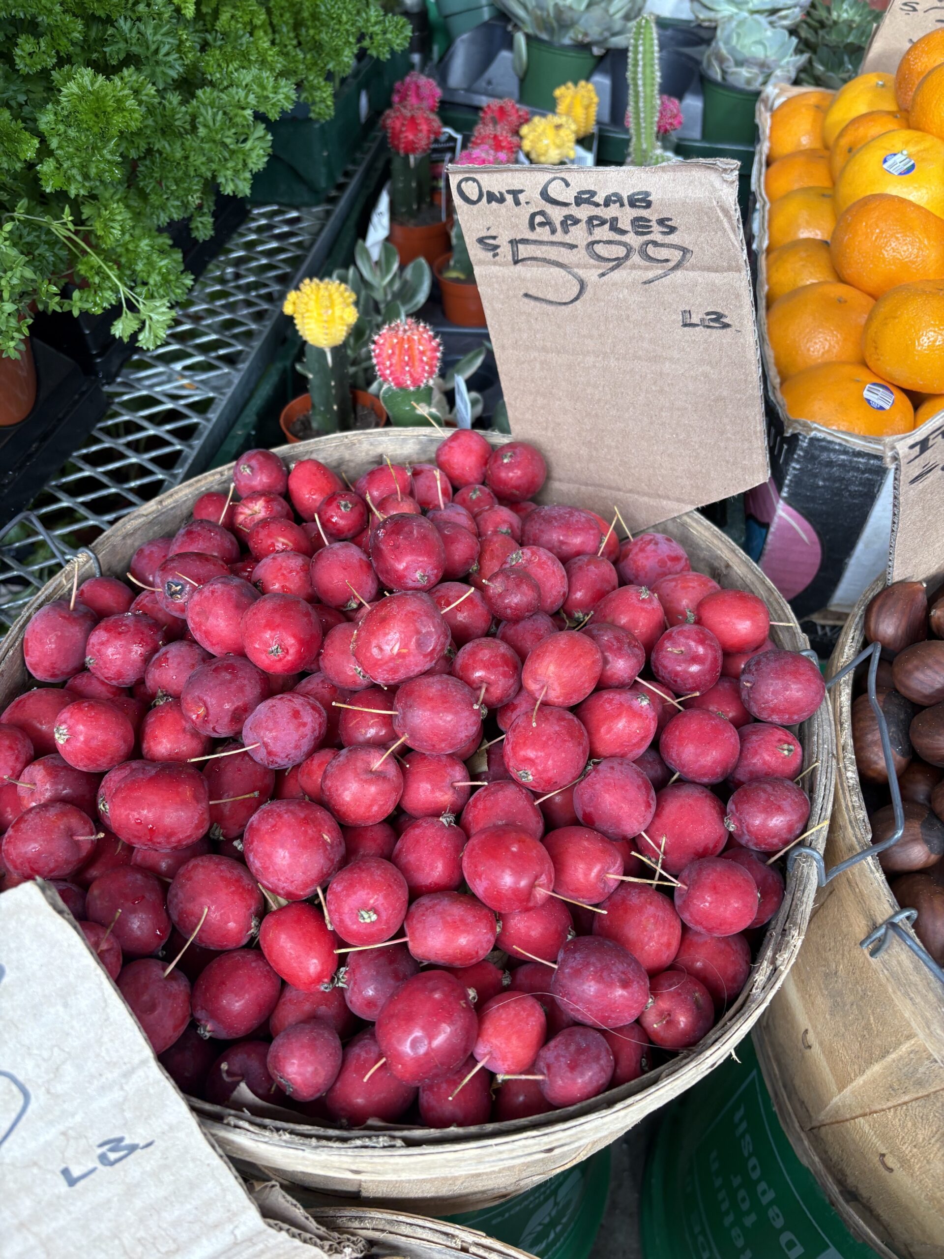 Crab Apple Jelly